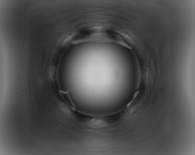 X0000086920280200704161409