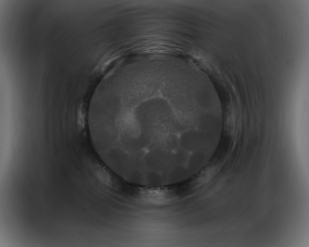 X0000086920282200704161409