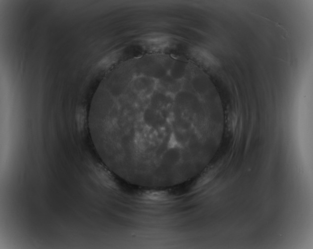 X0000086920283200704161409