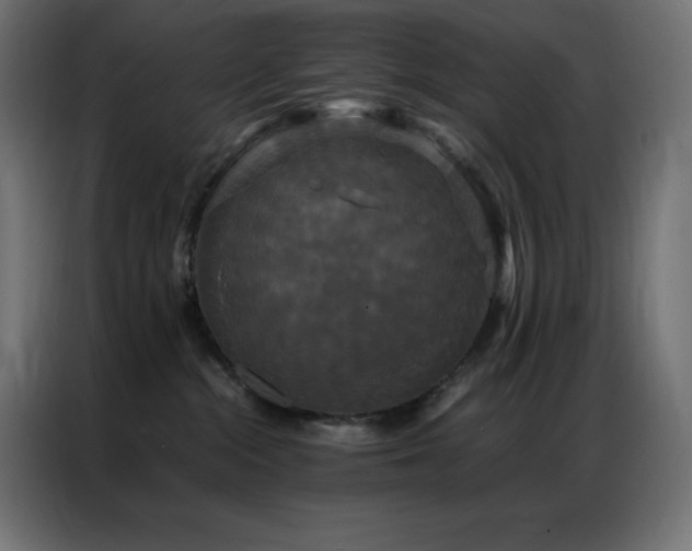 X0000086920284200704161409