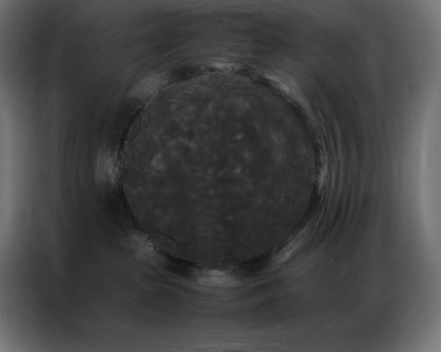 X0000086920285200704161409