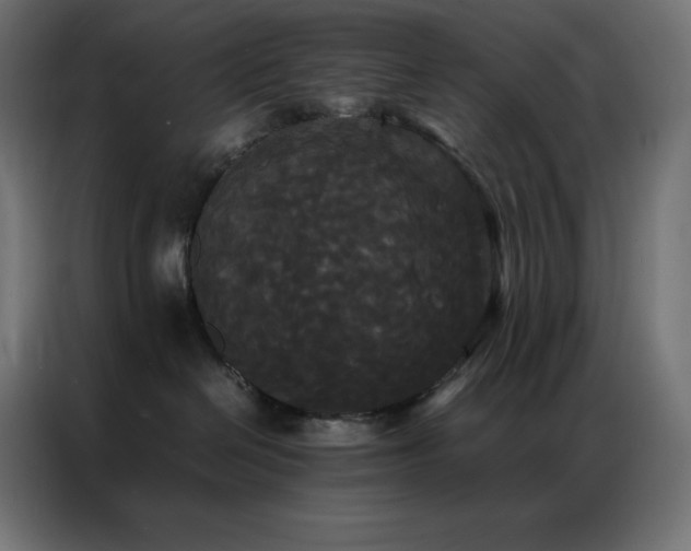 X0000086920286200704161409