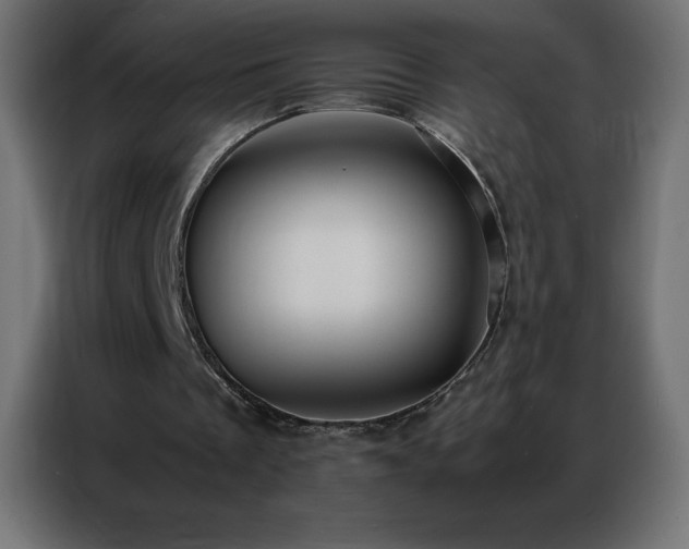 X0000086920289200704161409