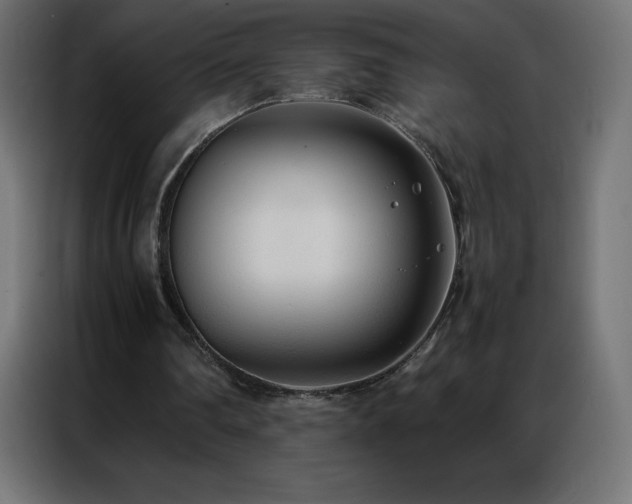X0000086920290200704161409