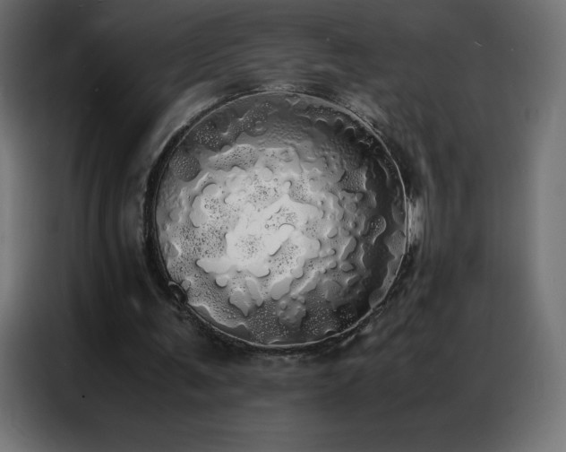 X0000086920291200704161409