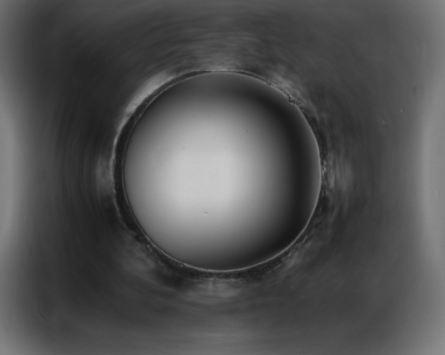 X0000086920292200704161409