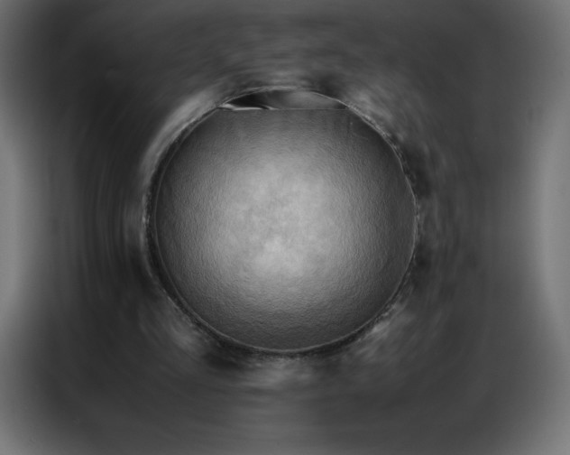 X0000086920293200704161409