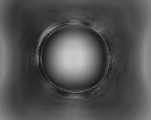 X0000086920294200704161408