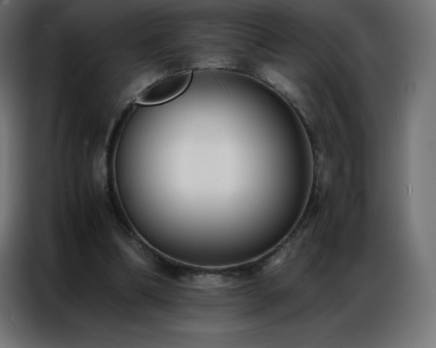 X0000086920298200704161408