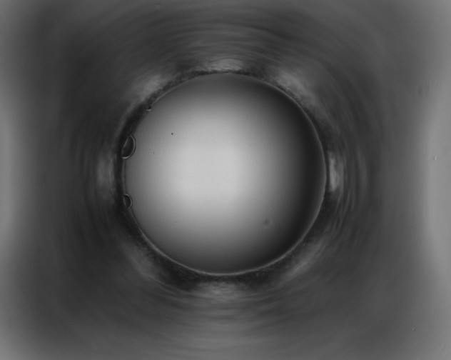 X0000086920300200704161408