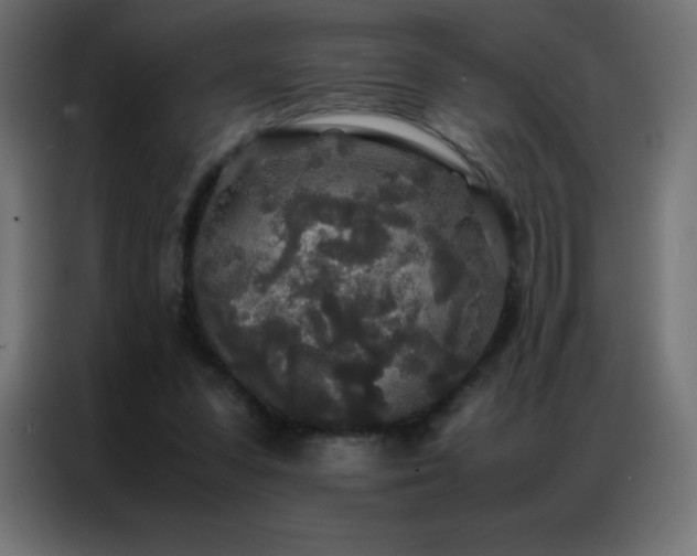 X0000086920303200704161408