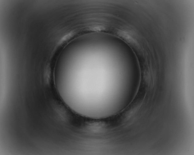 X0000086920304200704161408