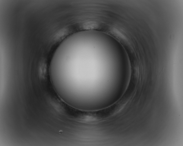 X0000086920308200704161408