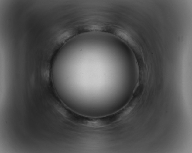 X0000086920309200704161408