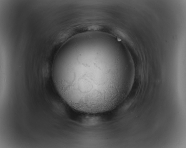 X0000086920311200704161408