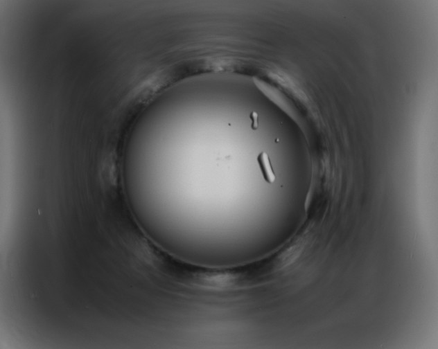 X0000086920313200704161408
