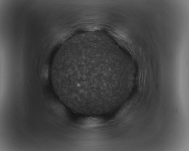 X0000086920315200704161408