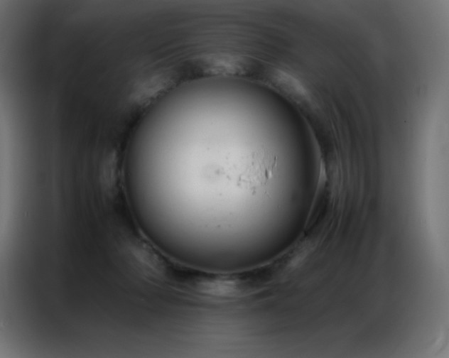 X0000086920318200704161408