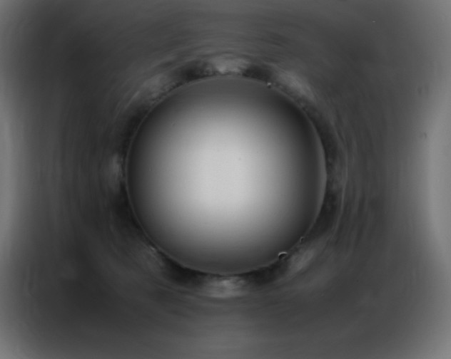 X0000086920321200704161408