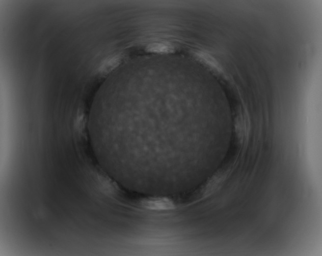 X0000086920322200704161408