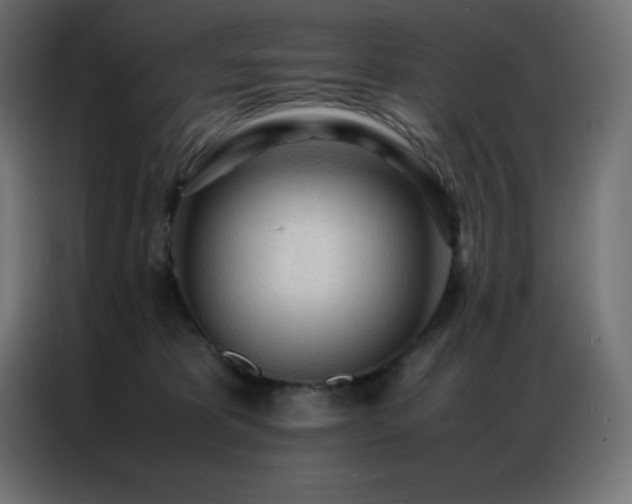 X0000086920325200704161408