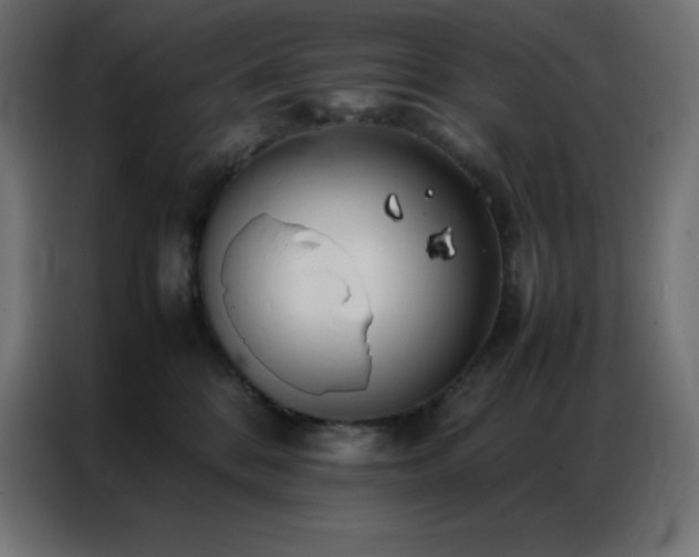 X0000086920328200704161408