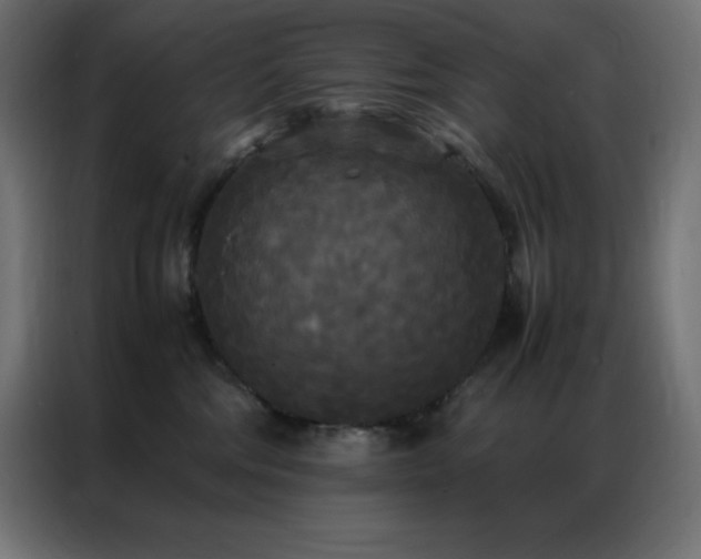 X0000086920330200704161408