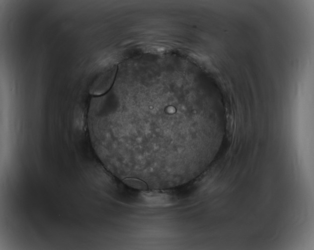 X0000086920331200704161408