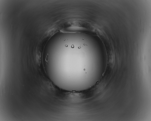 X0000086920332200704161408