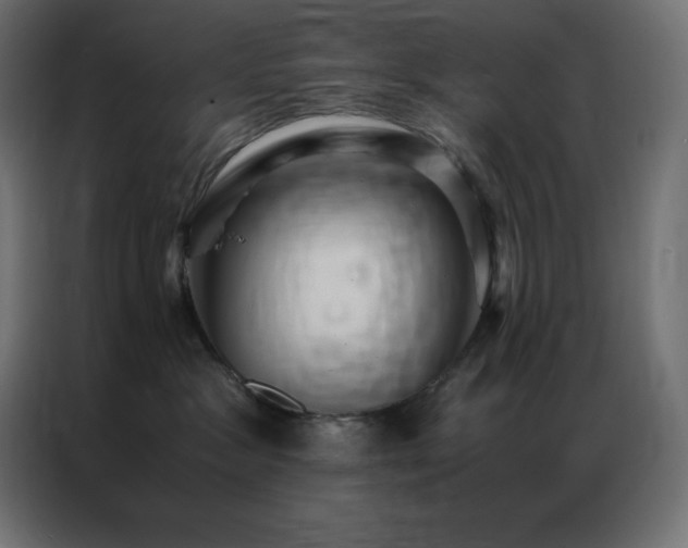 X0000086920333200704161408