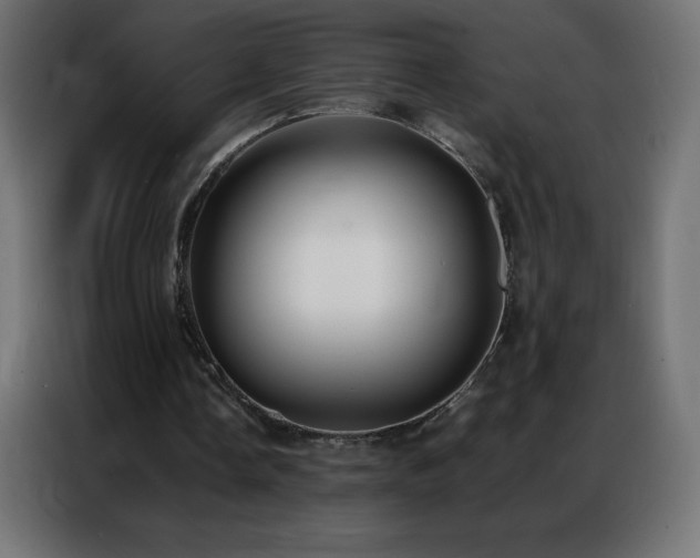 X0000086920338200704161407