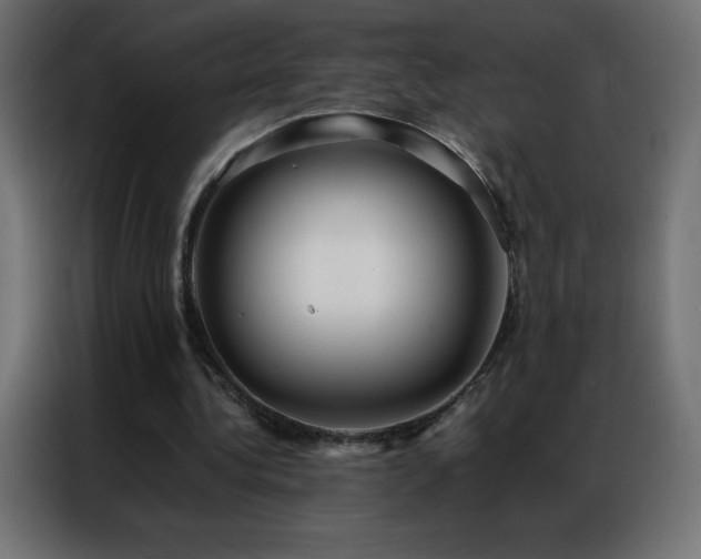 X0000086920340200704161407