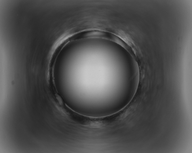 X0000086920344200704161407
