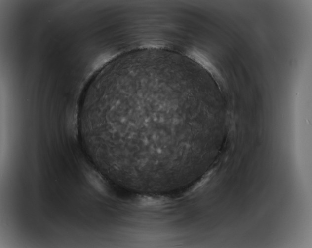 X0000086920346200704161407