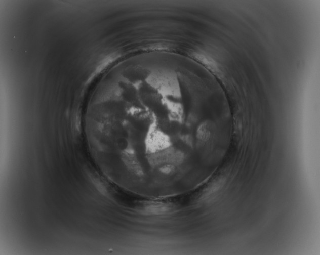 X0000086920347200704161407