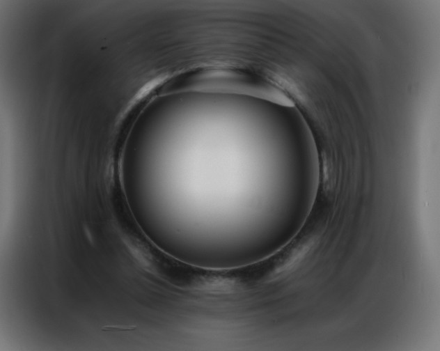 X0000086920348200704161407