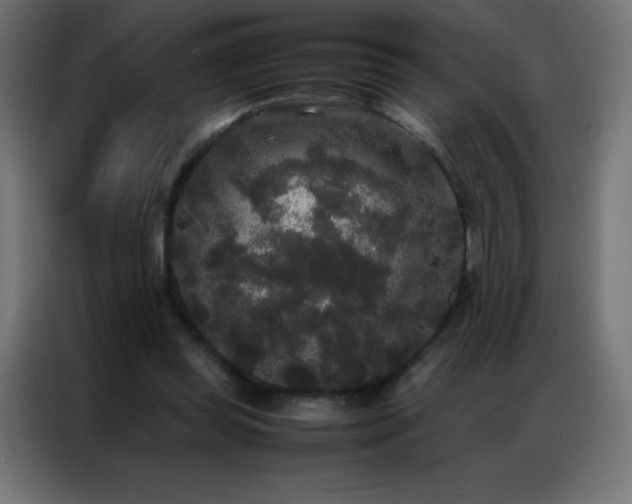 X0000086920349200704161407