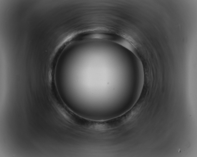 X0000086920350200704161407
