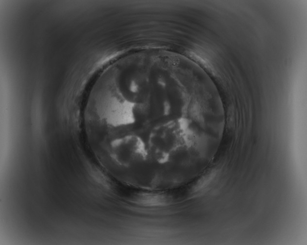 X0000086920351200704161407