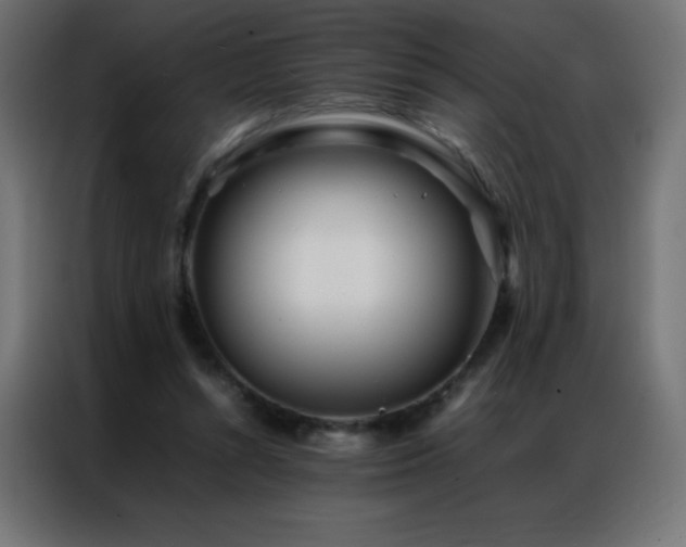 X0000086920352200704161407