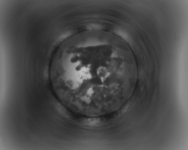 X0000086920353200704161407