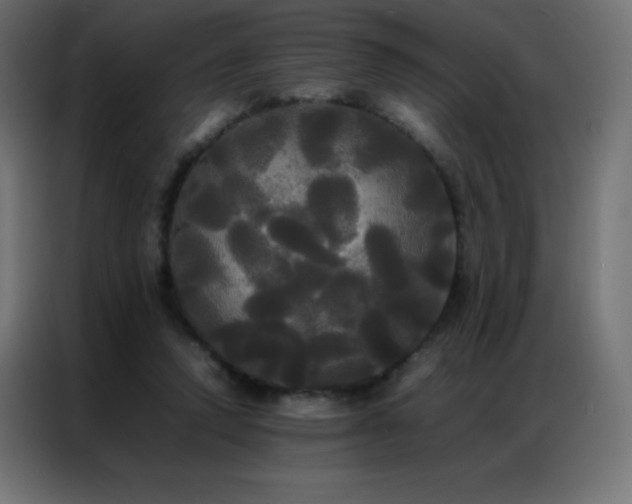 X0000086920354200704161407