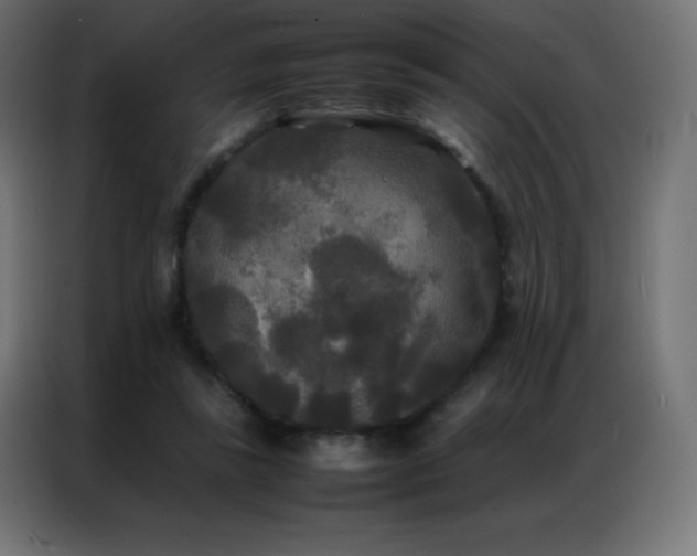 X0000086920355200704161407