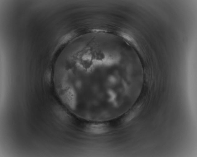 X0000086920357200704161408