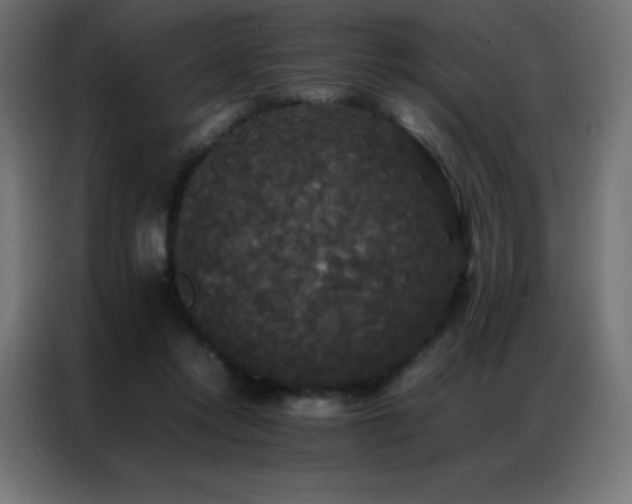X0000086920358200704161408