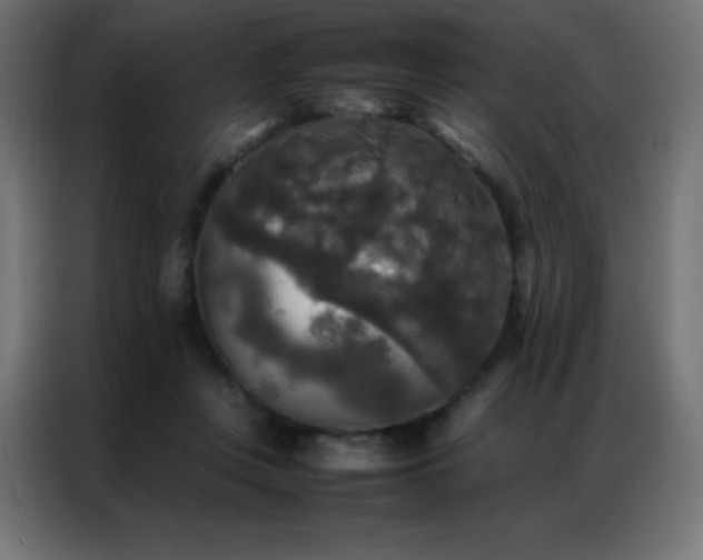 X0000086920359200704161408