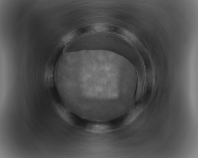 X0000086920360200704161408