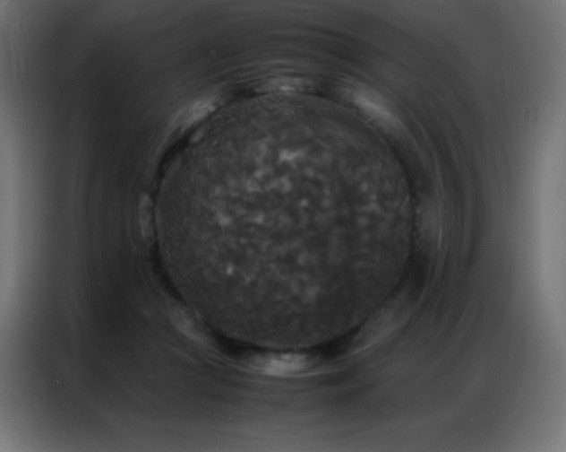 X0000086920361200704161408