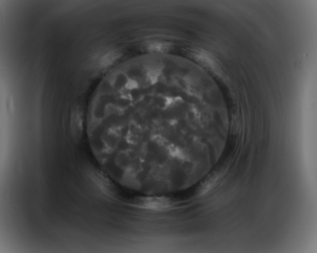 X0000086920363200704161408