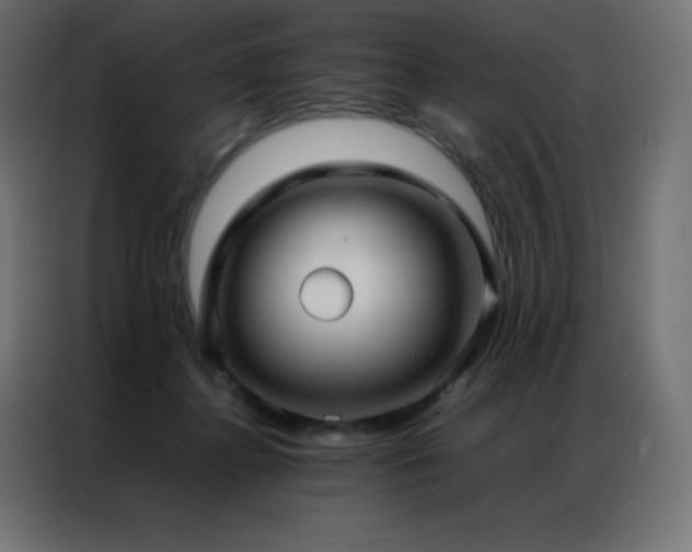 X0000086920364200704161408